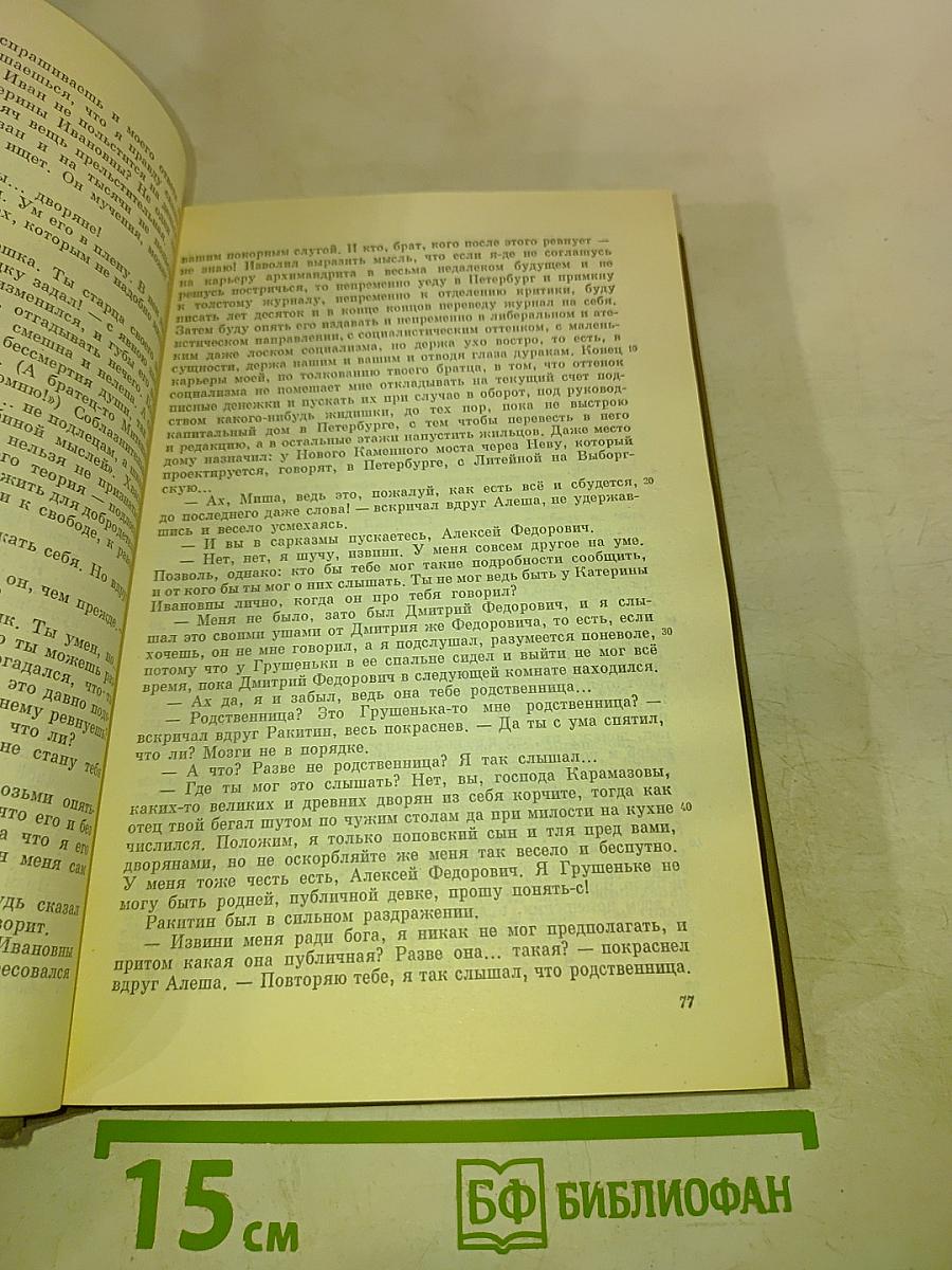 Братья Карамазовы. Том четырнадцатый