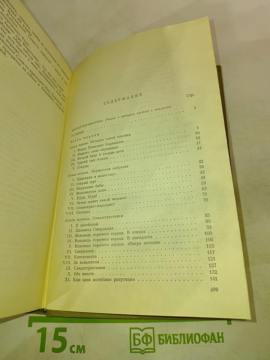 Братья Карамазовы. Том четырнадцатый