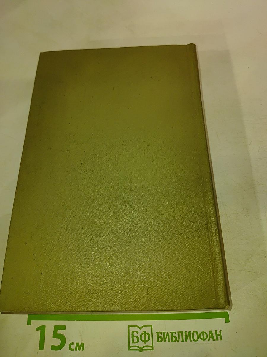 Братья Карамазовы. Том четырнадцатый