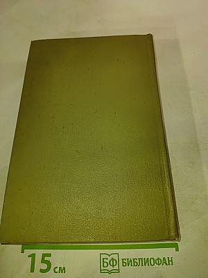 Братья Карамазовы. Том четырнадцатый