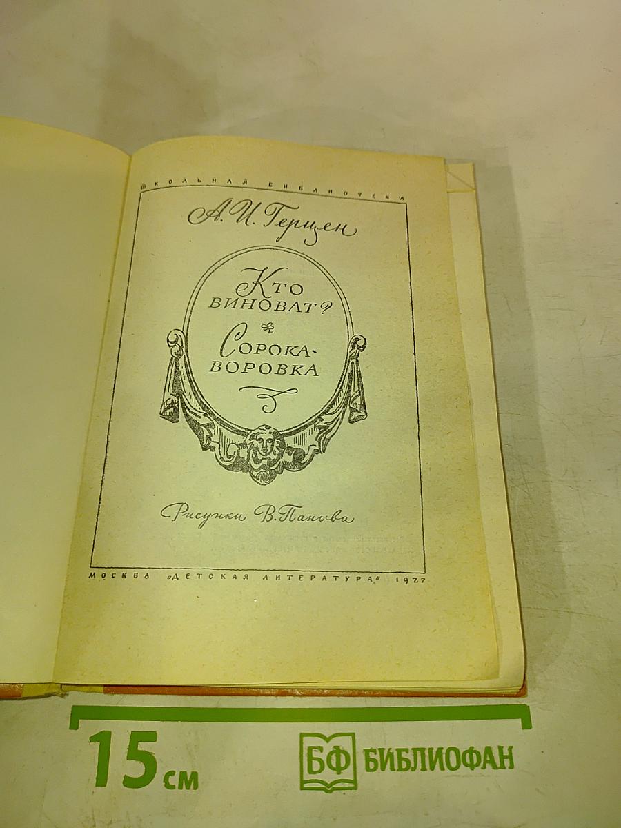 Кто виноват? Сорока-воровка