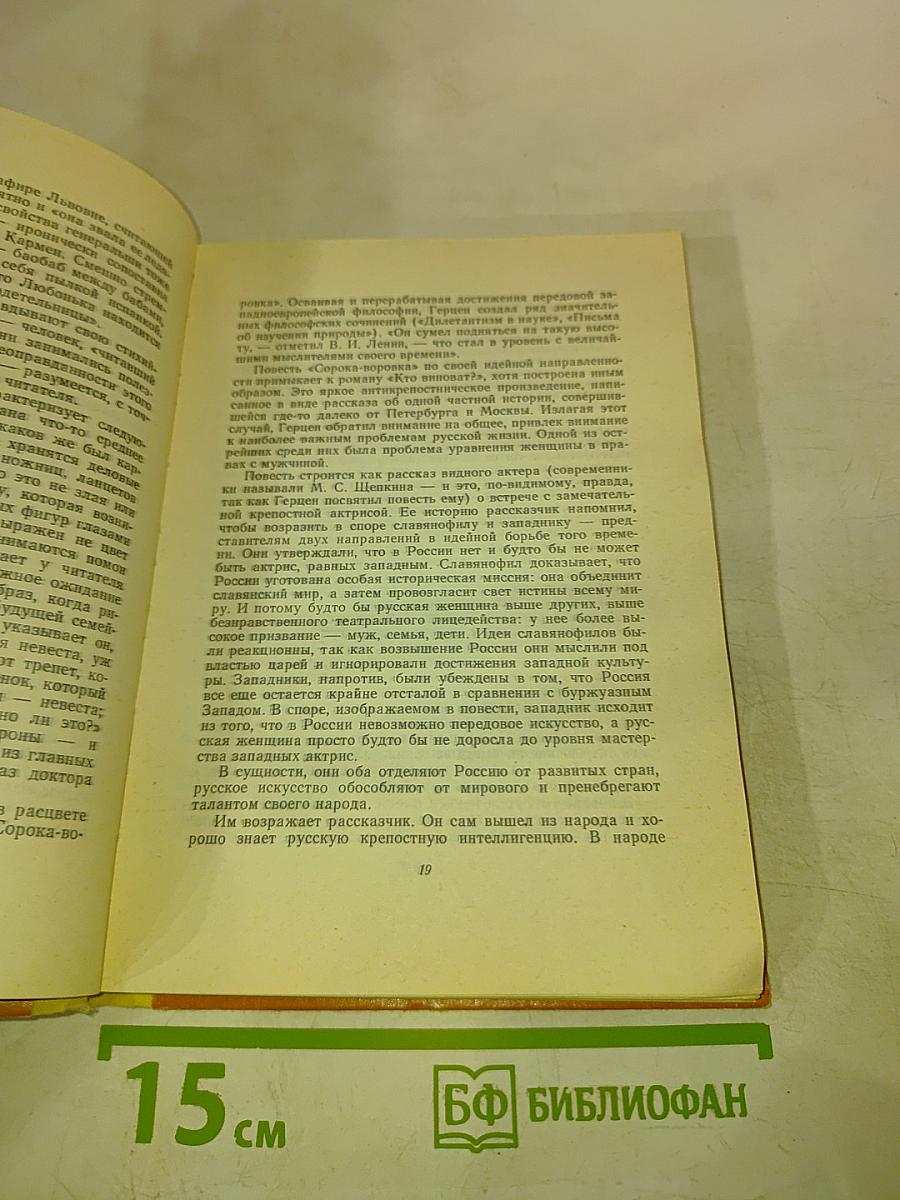 Кто виноват? Сорока-воровка