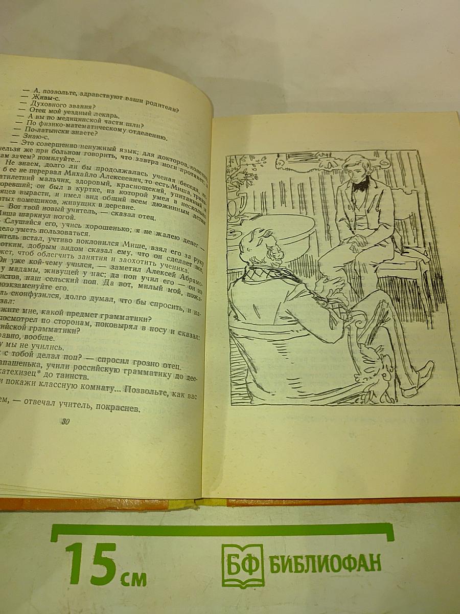 Кто виноват? Сорока-воровка