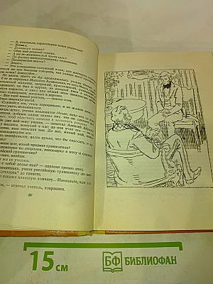 Кто виноват? Сорока-воровка