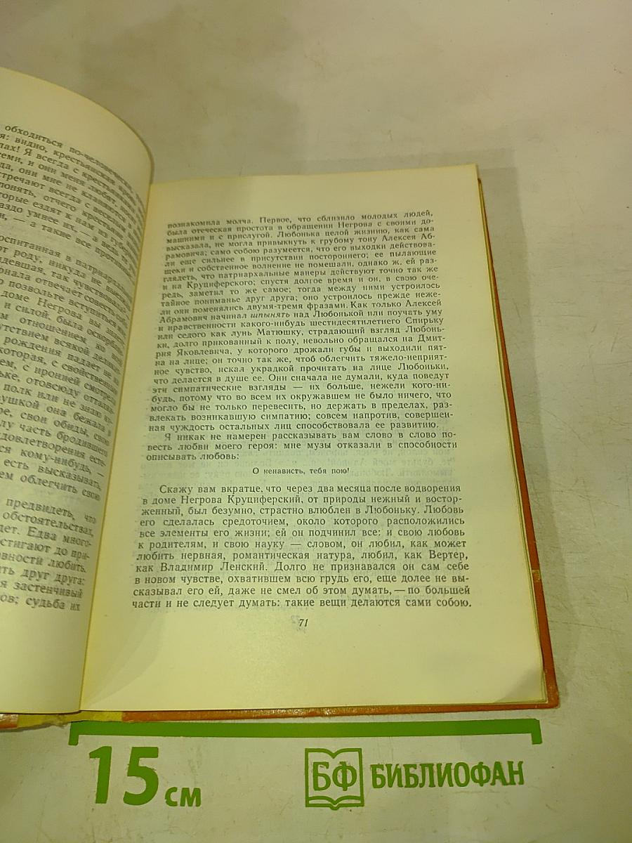 Кто виноват? Сорока-воровка