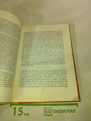 Кто виноват? Сорока-воровка
