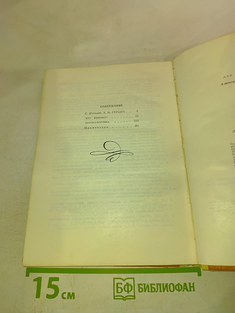 Кто виноват? Сорока-воровка