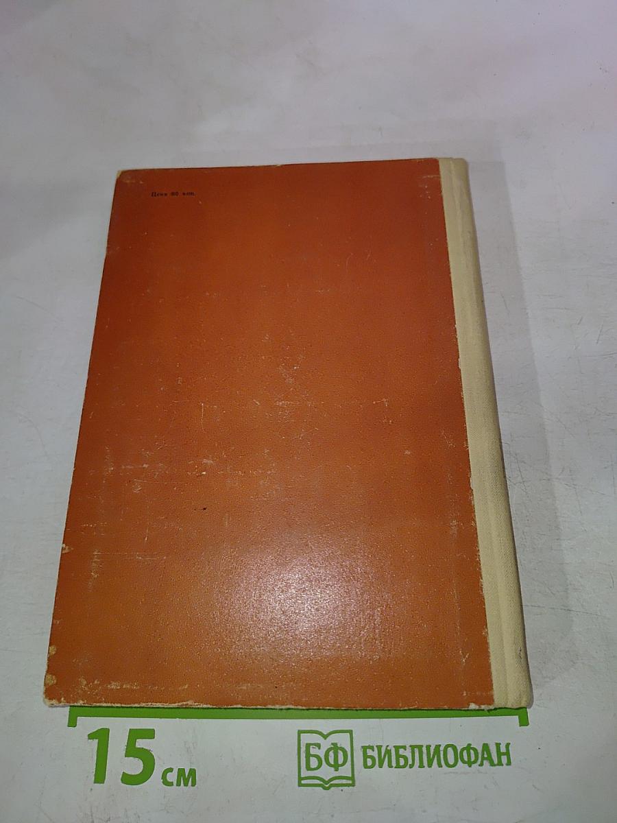 Кто виноват? Сорока-воровка