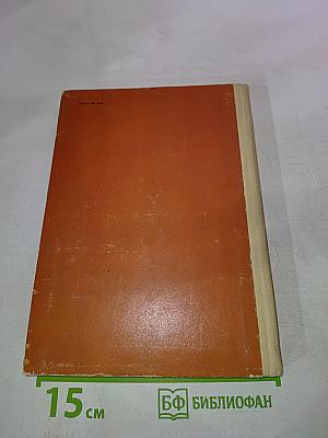 Кто виноват? Сорока-воровка