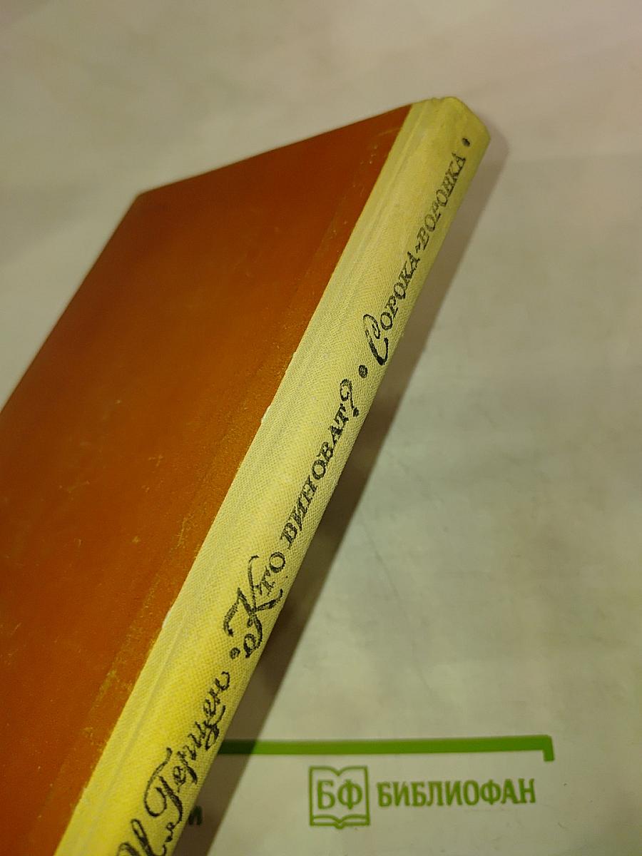 Кто виноват? Сорока-воровка