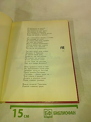 Витязь в тигровой шкуре