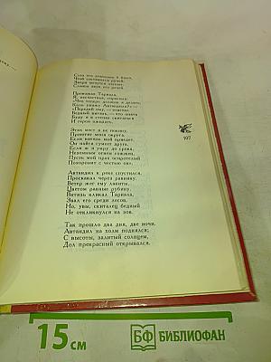 Витязь в тигровой шкуре