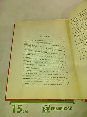 Витязь в тигровой шкуре