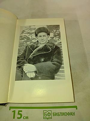 Собрание сочинений. Том первый: Товарищ Агроном, Журбины