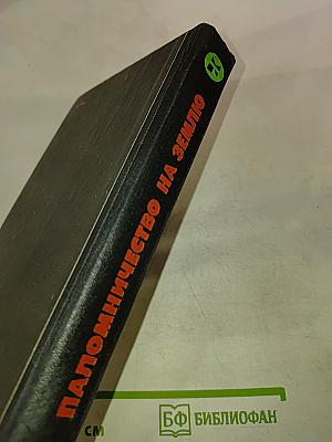 Паломничество на Землю