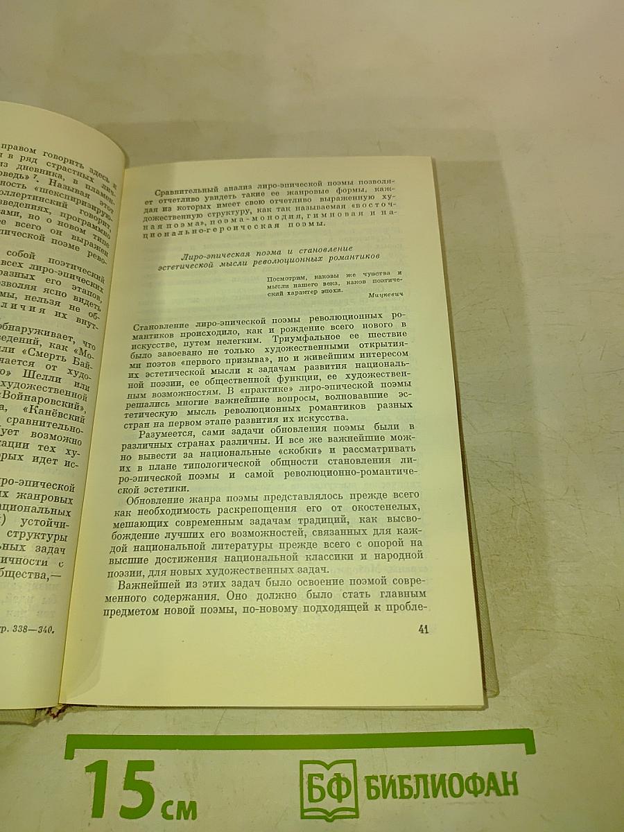 Революционно-романтическая поэма первой половины XIX века