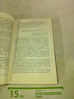 Революционно-романтическая поэма первой половины XIX века