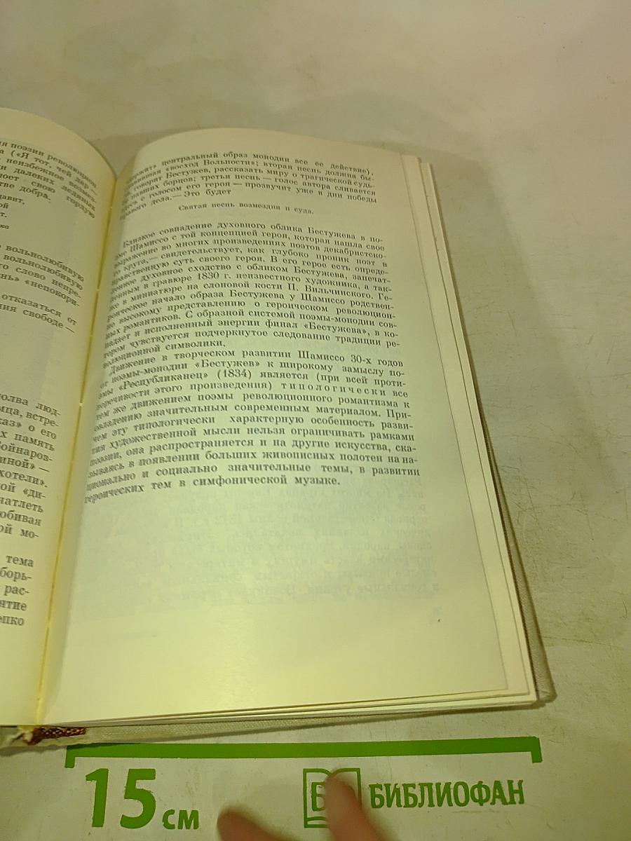 Революционно-романтическая поэма первой половины XIX века