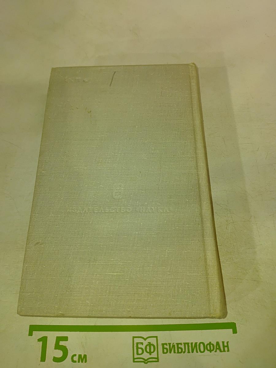 Революционно-романтическая поэма первой половины XIX века