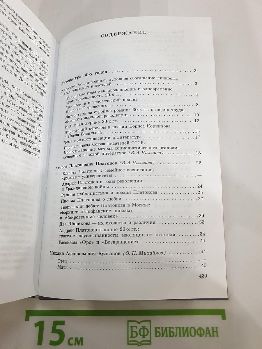 Литература 11 класс, Часть 2
