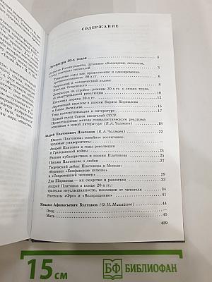 Литература 11 класс, Часть 2