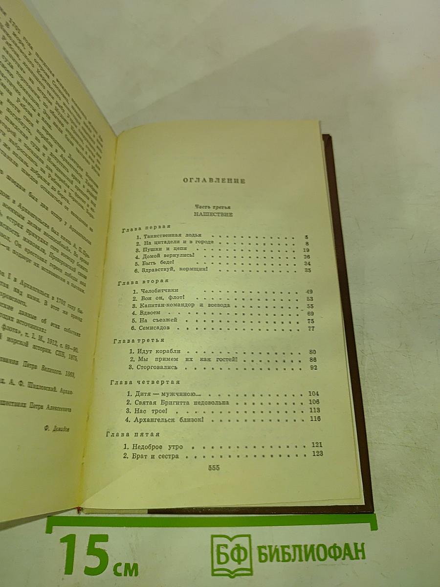 Россия молодая. Книга Вторая