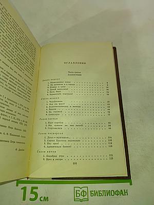 Россия молодая. Книга Вторая