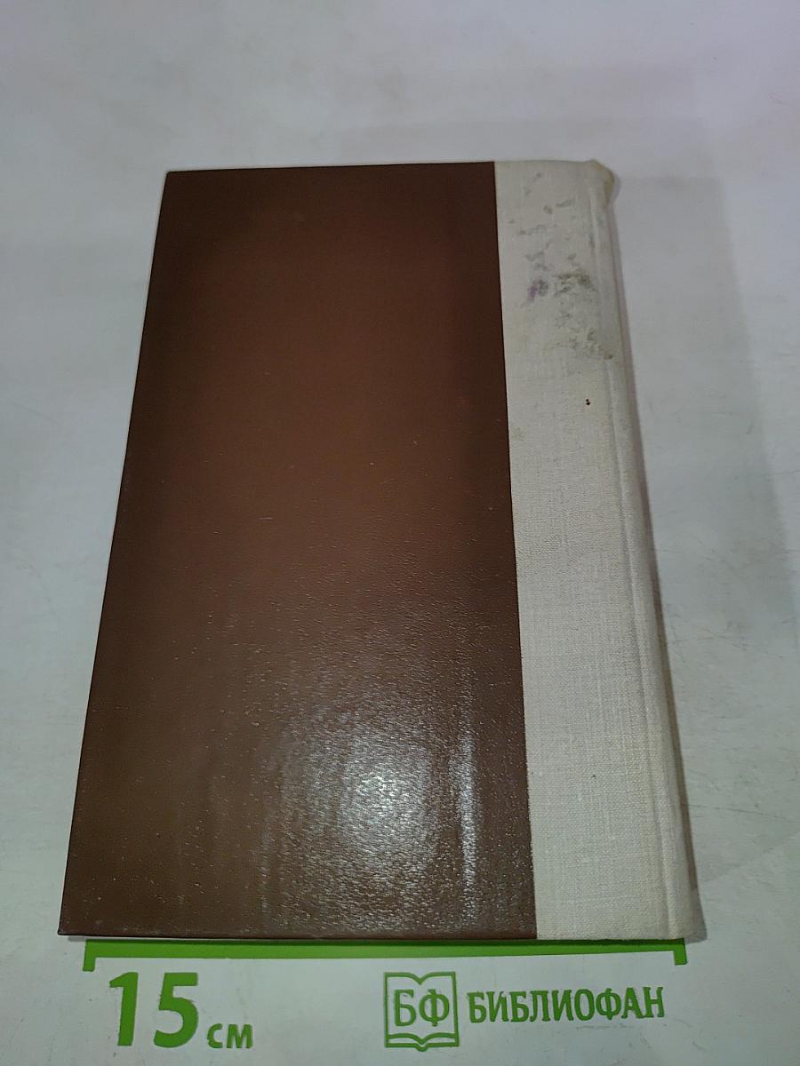 Россия молодая. Книга Вторая