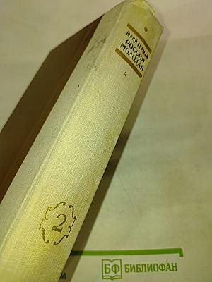 Россия молодая. Книга Вторая