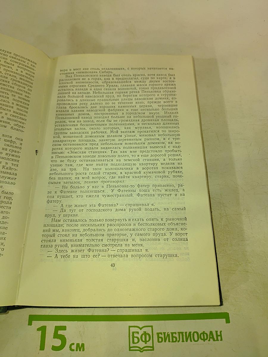 Д.Н. Мамин-Сибиряк. Рассказы, Очерки 1881-1884. Том I