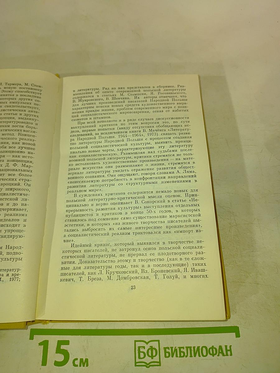 Поиски и перспективы. Литературно-художественная критика в ПНР