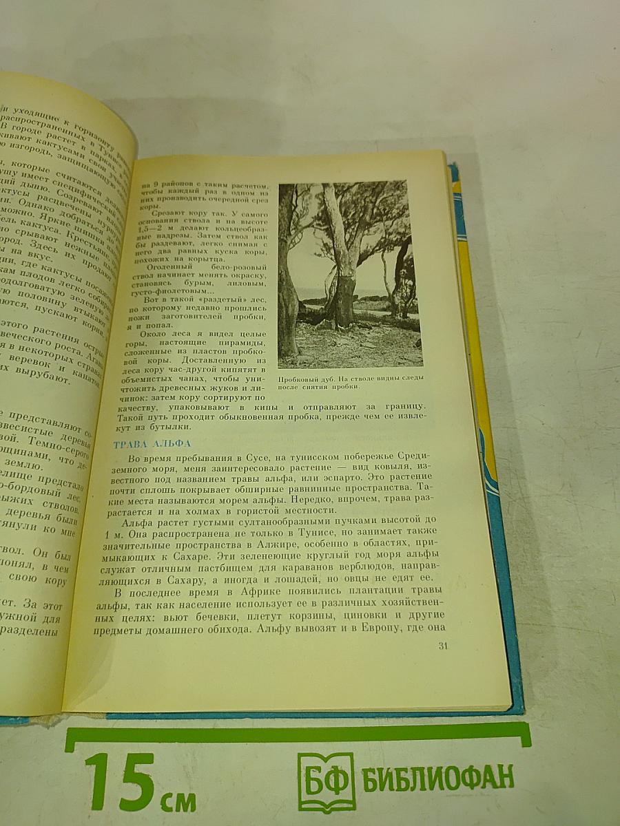 По материкам и странам. Книга для чтения по географии материков. Африка, Австралия, Антарктида.