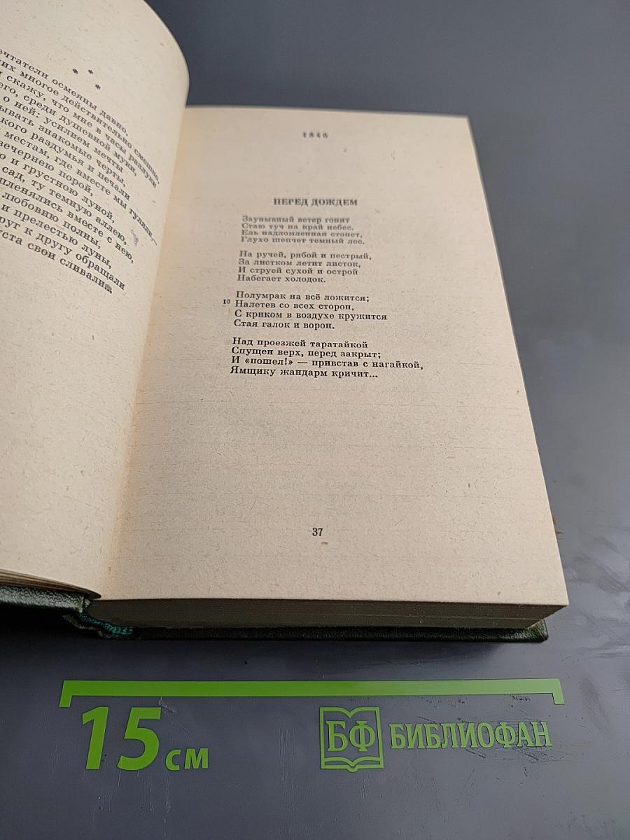 Стихотворения 1838-1855 гг. Том 1