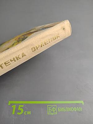 Пакет. армия трясогузки