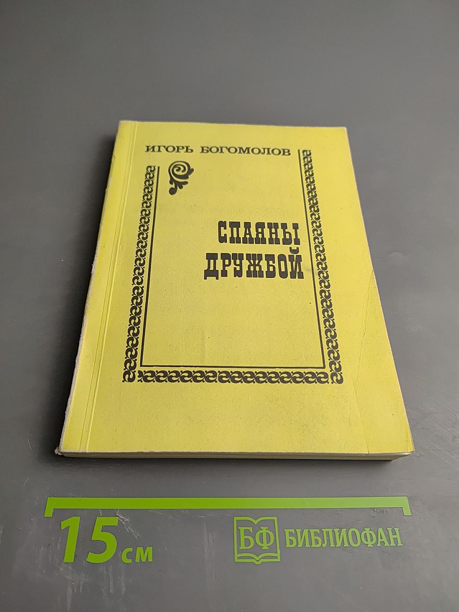 Сплавы дружбой. Литературные очерки