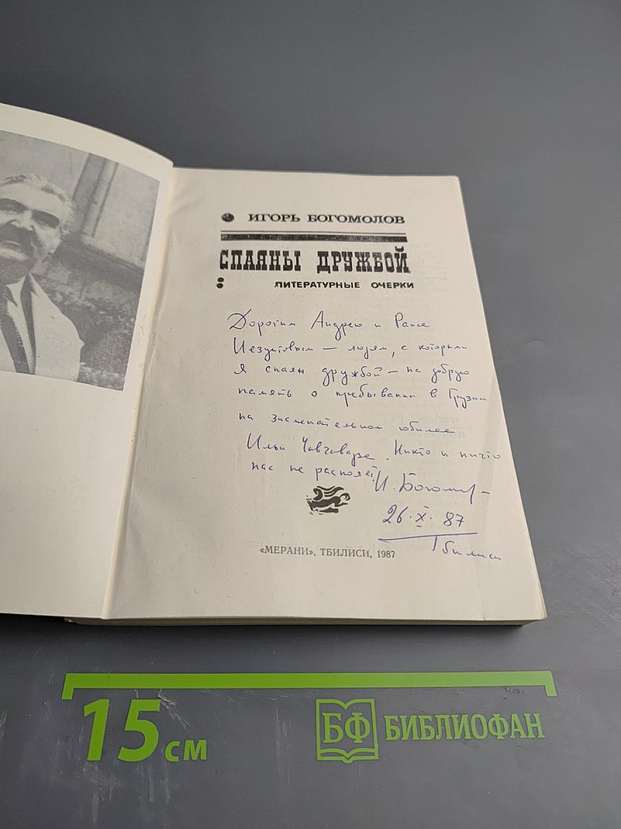 Сплавы дружбой. Литературные очерки