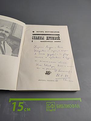 Сплавы дружбой. Литературные очерки