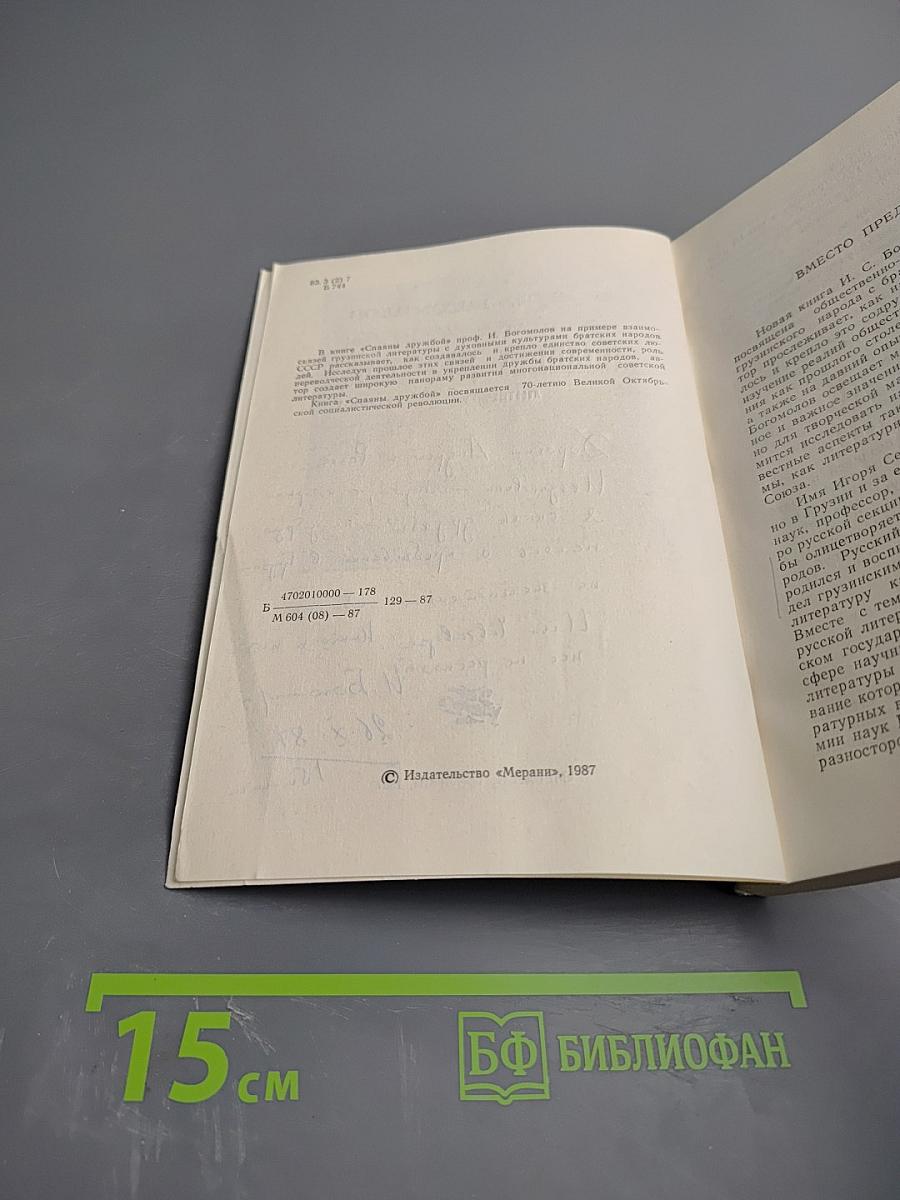 Сплавы дружбой. Литературные очерки