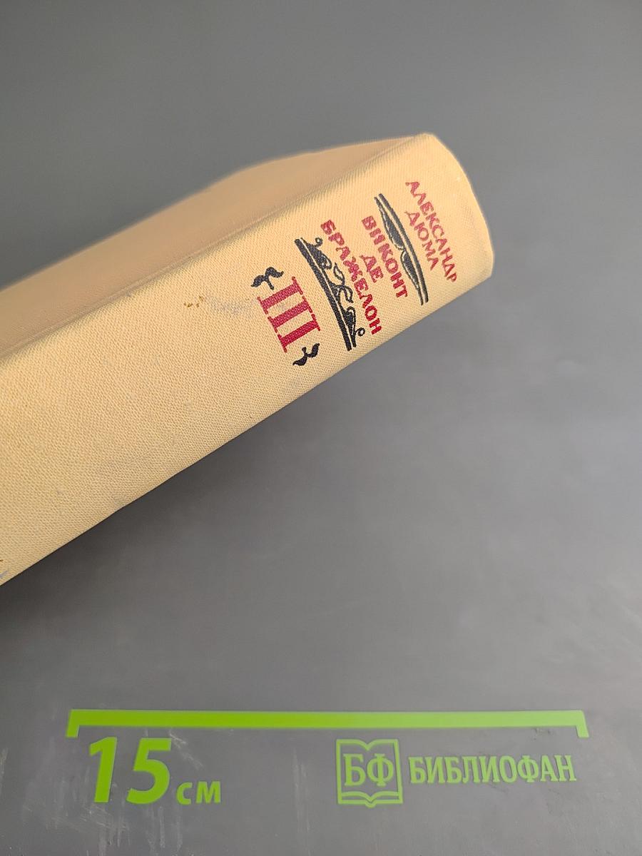 Виконт де Бражелон, или Десять лет спустя. Часть III, Части 5, 6