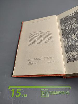 Современный японский детектив