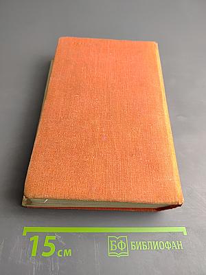 Современный японский детектив