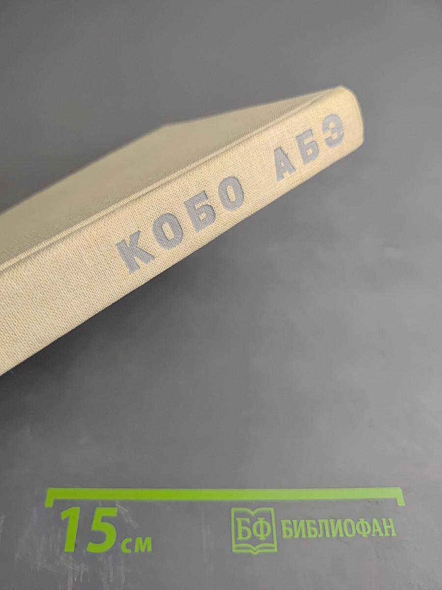 Чужое лицо. Сожженная карта. Человек-ящик