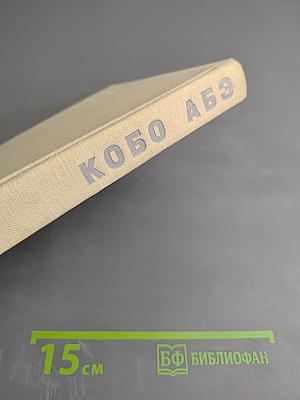 Чужое лицо. Сожженная карта. Человек-ящик