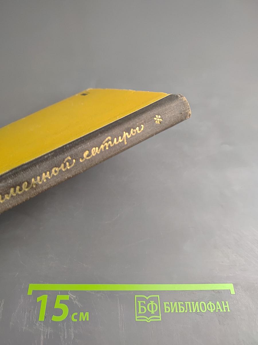 Муза пламенной сатиры. Из русской стихотворной сатиры XIX - начала XX века