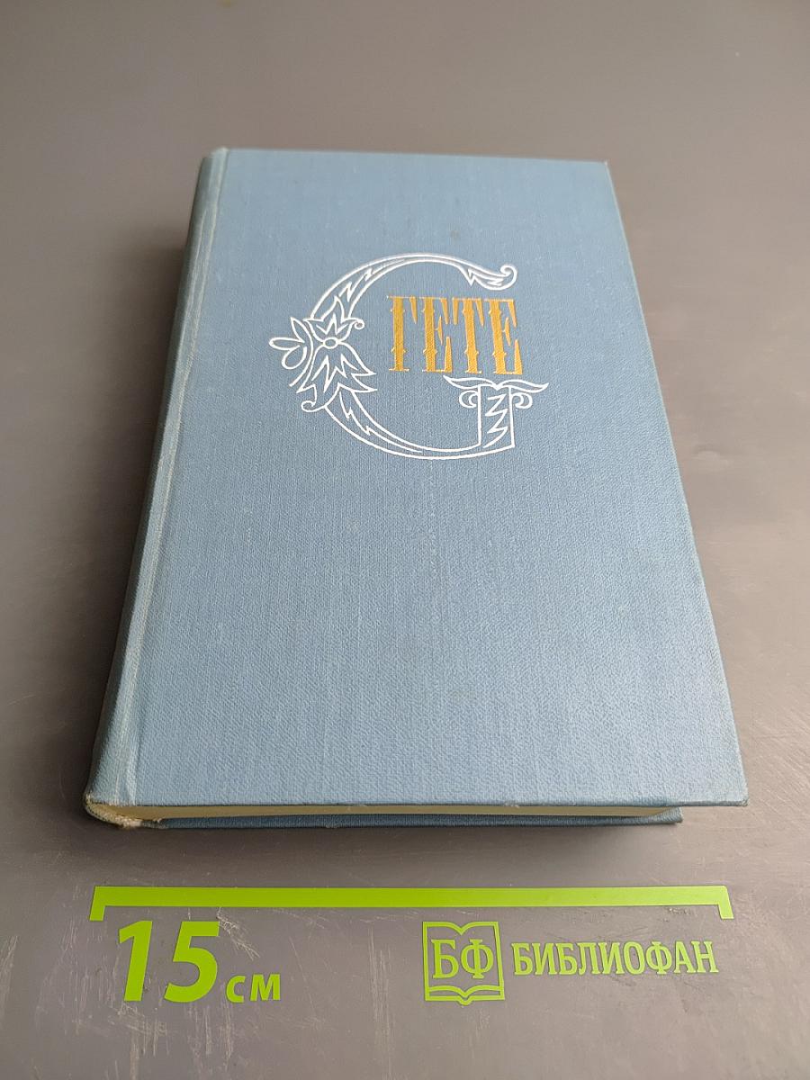 Собрание сочинений. Том третий. Из моей жизни. Поэзия и правда