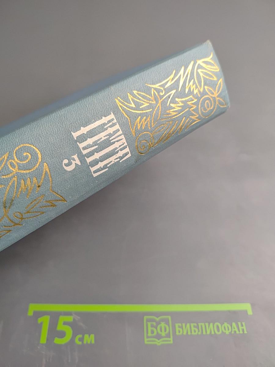 Собрание сочинений. Том третий. Из моей жизни. Поэзия и правда