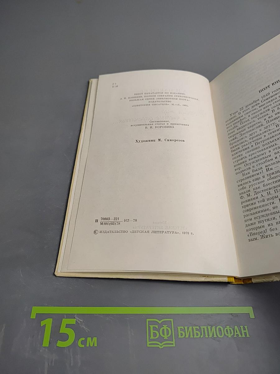 И сердца жар и чистые стремленья...