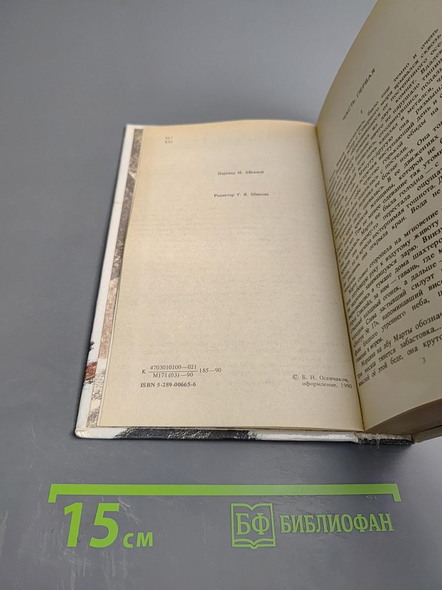 Звезды смотрят вниз