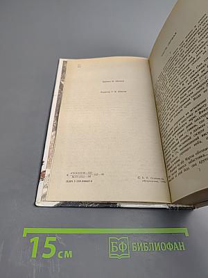 Звезды смотрят вниз