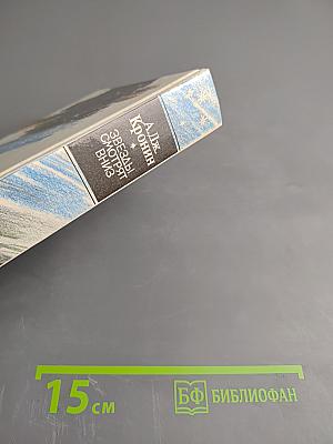 Звезды смотрят вниз